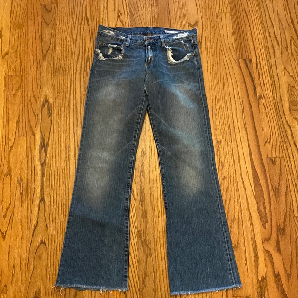Chip & Pepper women’s Jean in a size 26, frayed hem.